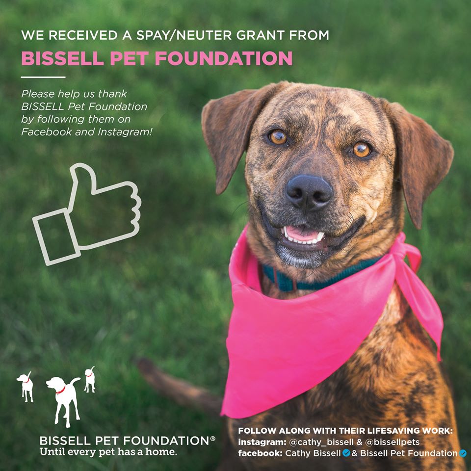 Bissell Pet Foundation
